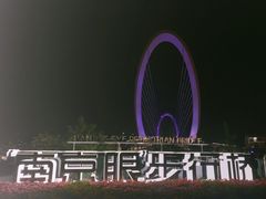-南京眼步行桥
