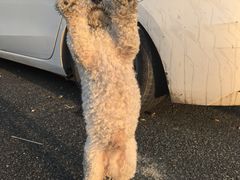 -霞山观海长廊