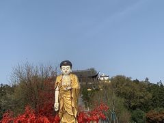 -冶父山国家森林公园
