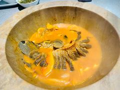 -老福耶小草帽石锅鱼(奥体店)