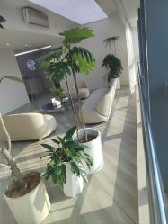 -HEYAN荷妍专业脱毛连锁机构