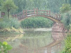 景点-西昌邛海湿地