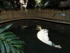 -顺景温泉