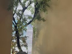 -山上下日本料理(万象城店)