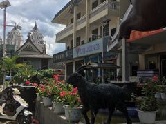 -傣家黑山羊汤锅(告庄店)