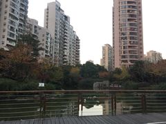 -新湖明珠城