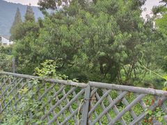 -树山生态村