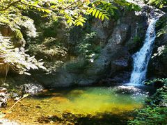 -云岫谷游猎自然风景区