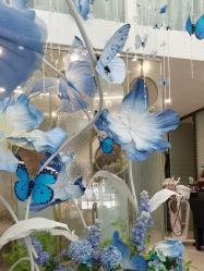 点击看大图 -MLP美丽派·问题肌疗愈中心