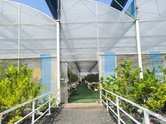 -长洲岛都市农业公园