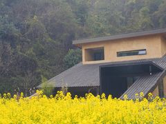 -武当山风景区