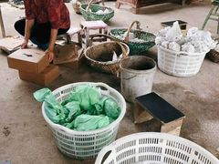 -马陆小张葡萄园农家乐