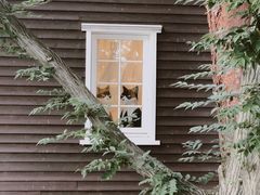 -三鹰之森吉卜力美术馆