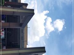 -深圳少年儿童图书馆