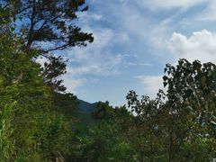 -羚羊峡古栈道森林公园