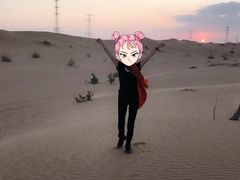 -迪拜沙漠冲沙