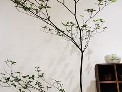 -隆德堂青瓷艺术·茶馆(故宫店)