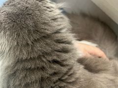 -博特宠物医院24h犬猫全科.骨科·异宠