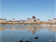 -莲花池公园