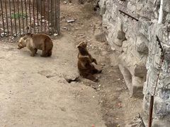 -哈尔滨北方森林动物园