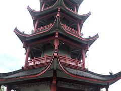 -蔡伦竹海