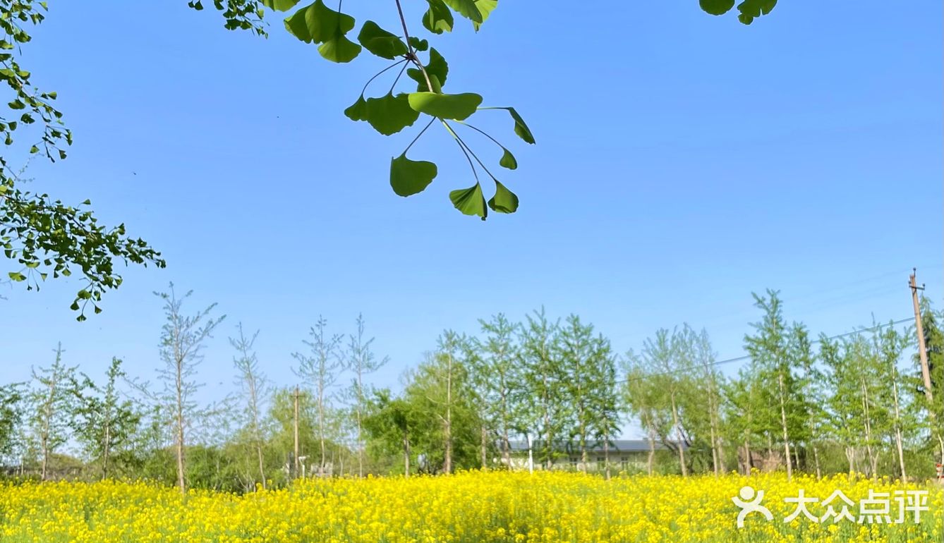 西安周边游🏞🎣坐拥油菜花田的一站式玩乐庄园