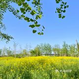 西安周边游🏞🎣坐拥油菜花田的一站式玩乐庄园
