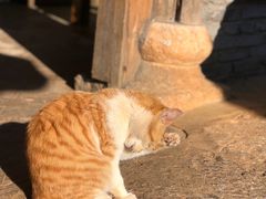 -田德能咖啡博物馆