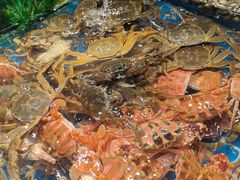 -宴立方海鲜自助(义乌万达广场店)