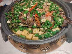 -锦尚阁烤鱼(望京新荟城店)