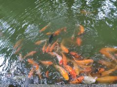 -珠海圆明新园
