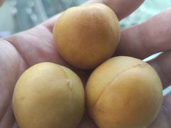 -物美大卖场(玉蜓桥店)