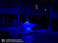 -大连圣亚海洋世界