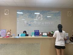 -宠颐生贝利健动物医院(谢家湾分院)