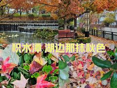 -积水潭(地铁站)