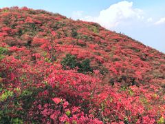 -大围山国家森林公园