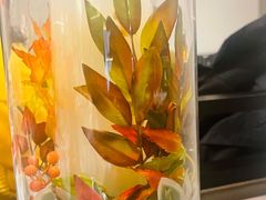 -赤火牛排(金狮广场店)