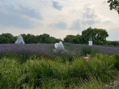 -梁鸿国家湿地公园