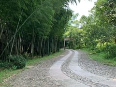 -黄公望隐居地