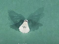 -帕拉泽羽毛球·篮球·乒乓球·健身