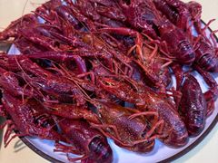 -小田油焖小龙虾(双井店)