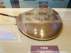 -舟山博物馆
