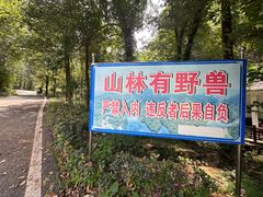 -素山寺森林公园