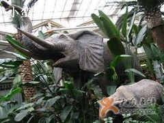 环境-绿色时代大酒店