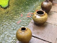 -几荷·恰似故人来(秀水广场店)