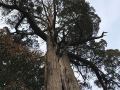 -青岛崂山太清宫