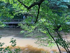 -茅兰沟国家森林公园