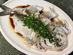-阿巧茶庄