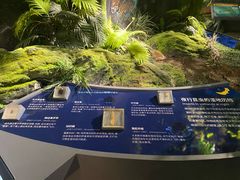 -阿哈湖国家湿地公园