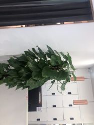 -华卫思理轻奢造型